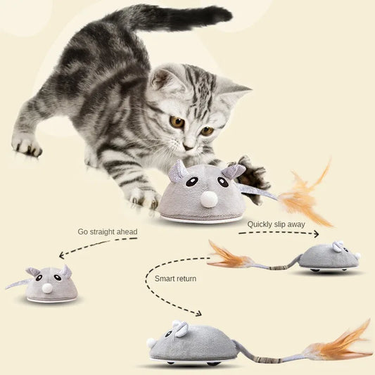 Interactive Cat Toy Mouse for Cats USB Charging Rotating Butterfly Noise Ball Boucing Fish Play-Catch Training Toy for Indoor